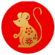 Tikus
